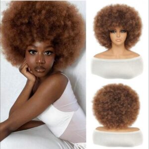 Afro Wig With Bangs for Women Natural Kinky Curly Hair